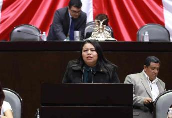 Yadira Marcos asegura que Reforma a la Ley de Industria Eléctrica traerá bajas tarifas