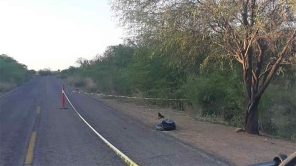 Localizan a un hombre asesinado en la carretera El Fuerte-Choix