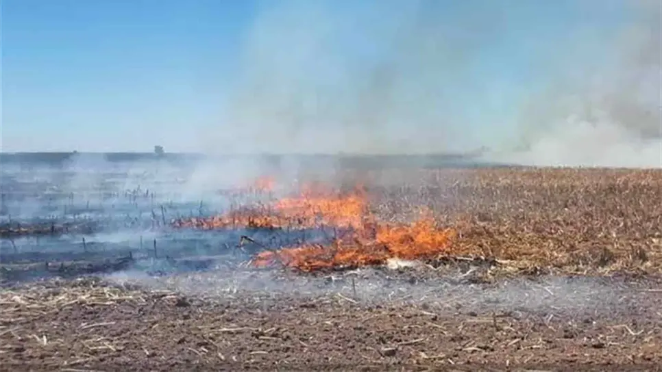 FOTO: Luz Noticias | Archivo.