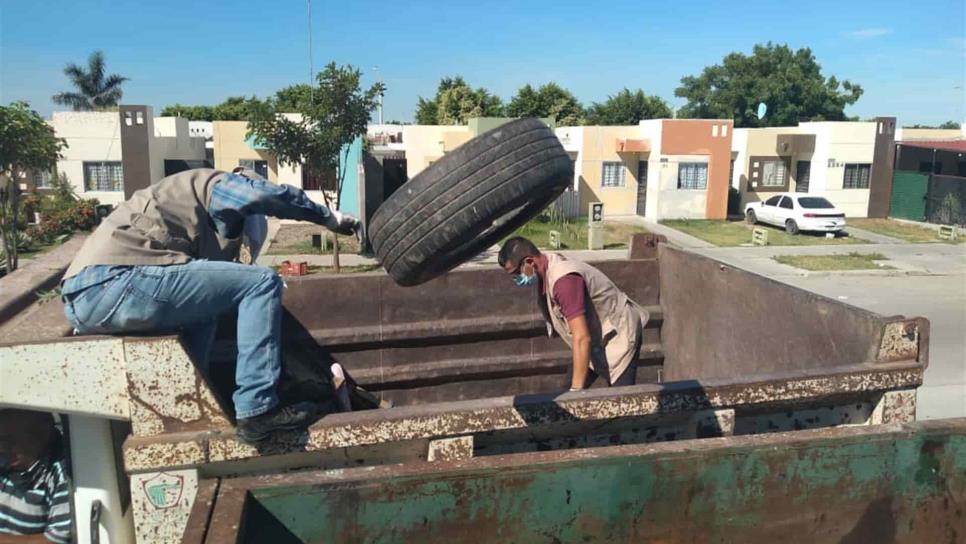 Descacharrizarán 3 colonias de Los Mochis este sábado