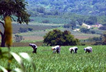 Efecto bumerán golpea al sector agroalimentario en México