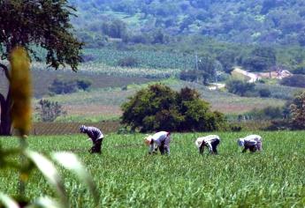 México se mantiene como líder exportador agroalimentario