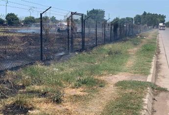 Incendio de maleza en Nuevo Horizonte moviliza a Bomberos de Los Mochis