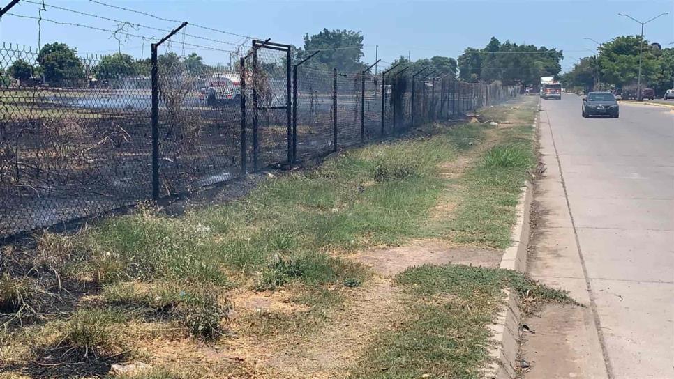 Incendio de maleza en Nuevo Horizonte moviliza a Bomberos de Los Mochis