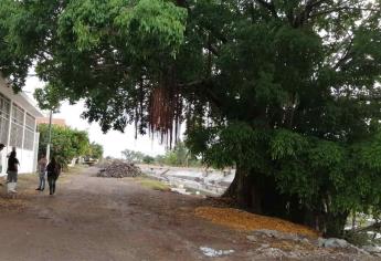 Se pueden hacer obras y conservar la naturaleza: vecino del Jabalines