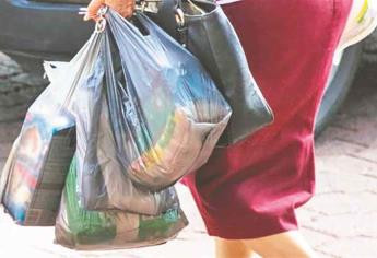 A partir del 21 de octubre sancionarán a negocios que den bolsas de plásticos