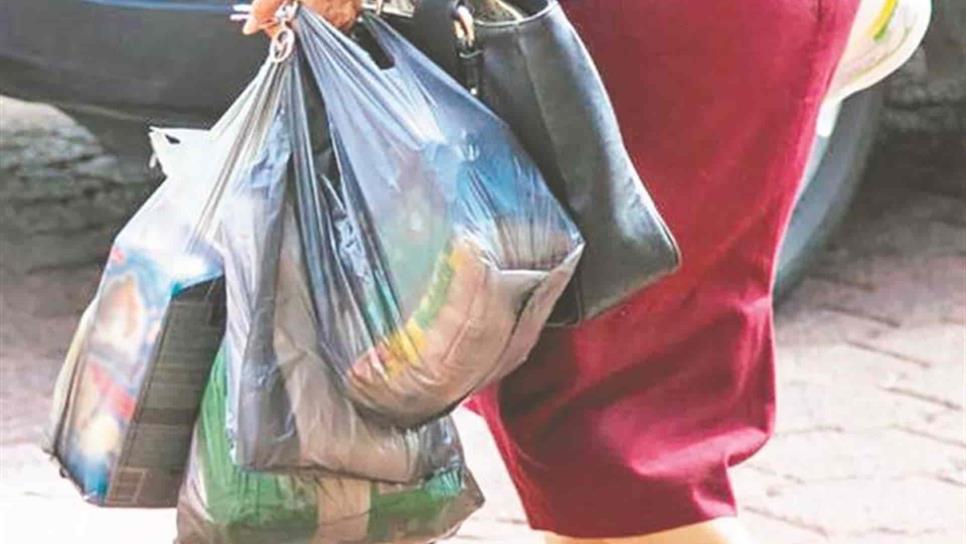 El 20 de octubre vence prórroga para que comercios no usen bolsas de plástico: Sedesu