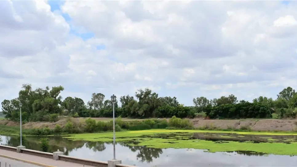 Conagua dará mantenimiento al río Sinaloa, en Guasave