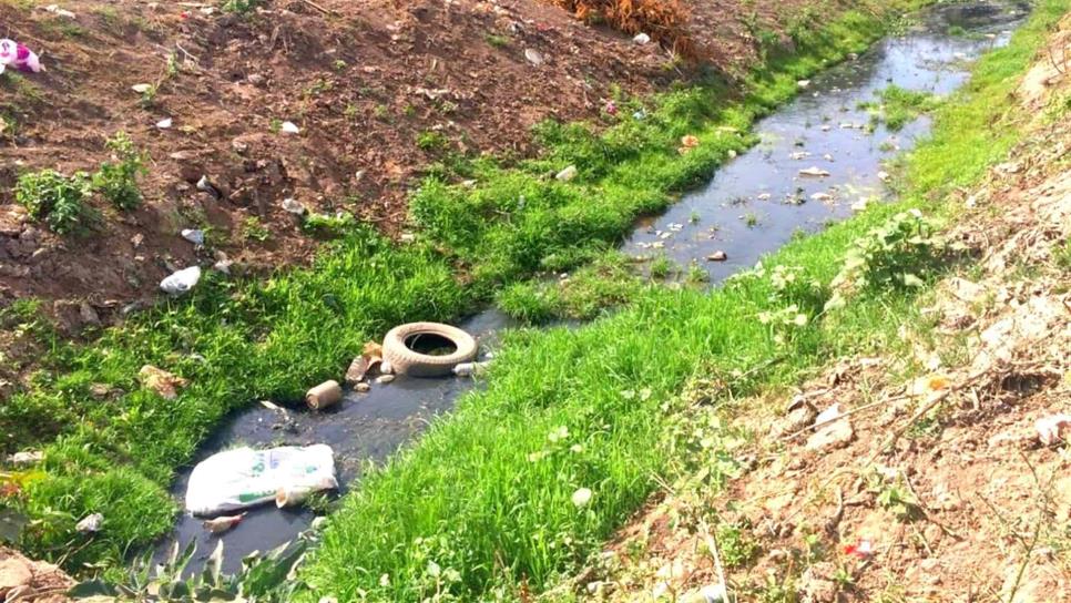 Ciudadanos siguen tirando basura a los drenes