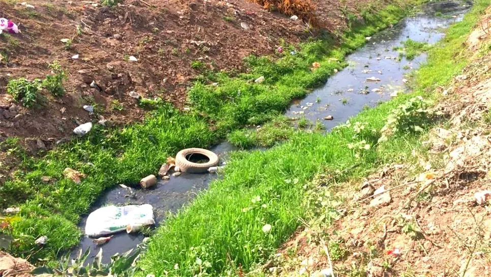 Ciudadanos siguen tirando basura a los drenes