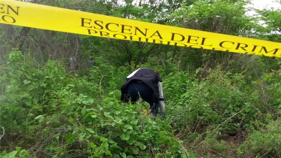 Limpiaban un predio y encuentran huesos humanos