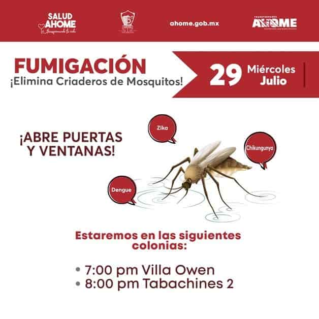 Imagen Placeholder