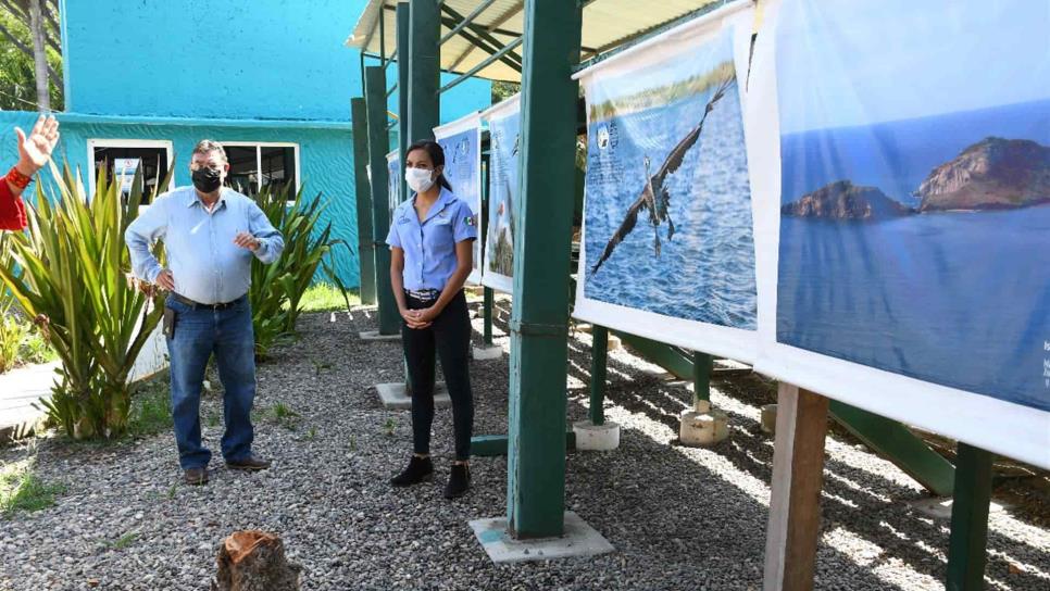 Presenta Acuario Mazatlán muestra Museo Mazatl “Identidad y Naturaleza”