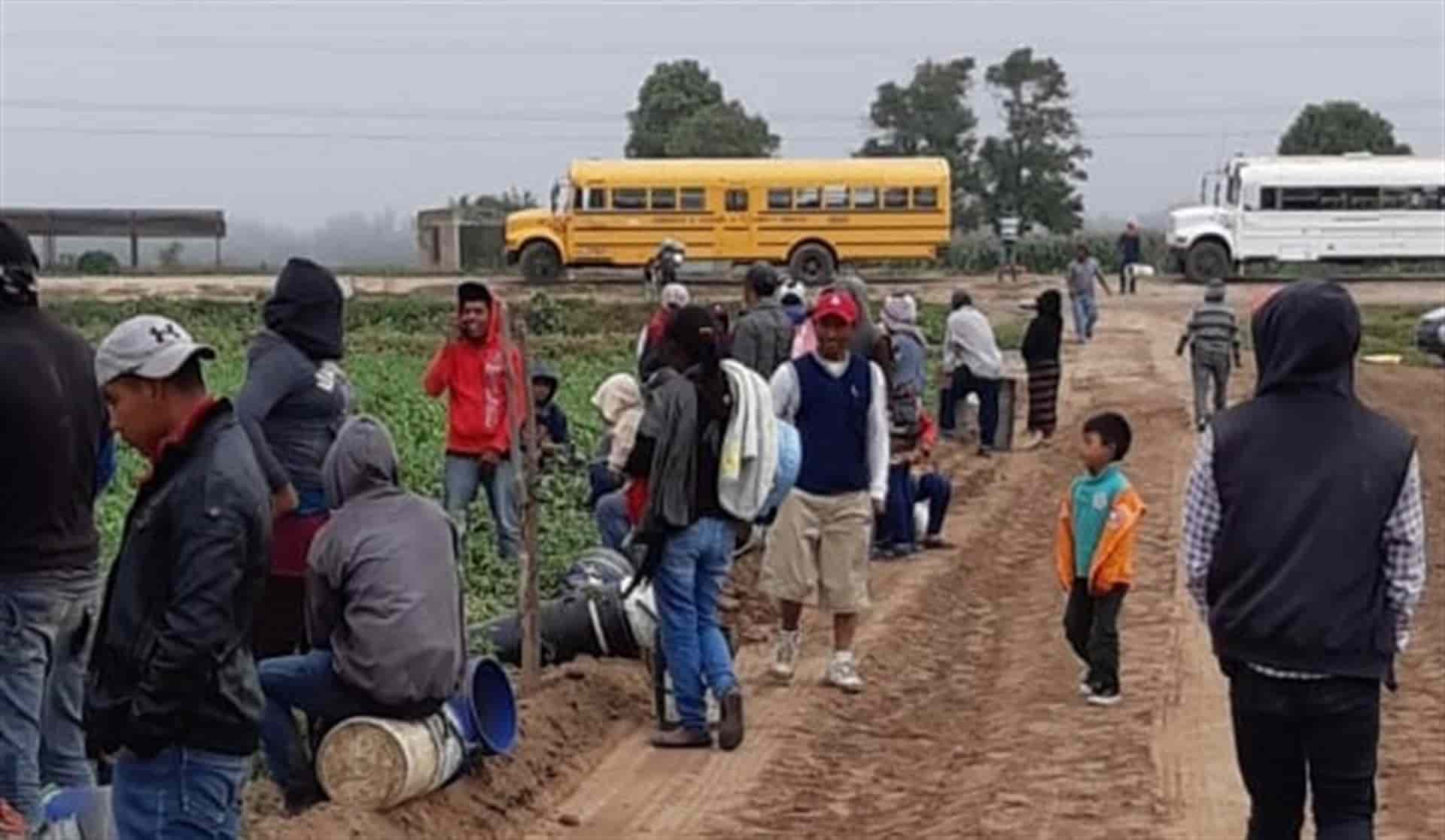 FOTO: Luz Noticias | Temática.