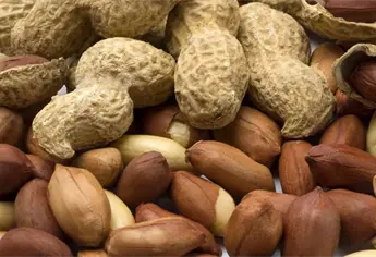 Productores de Mocorito alertan desplome del precio del cacahuate