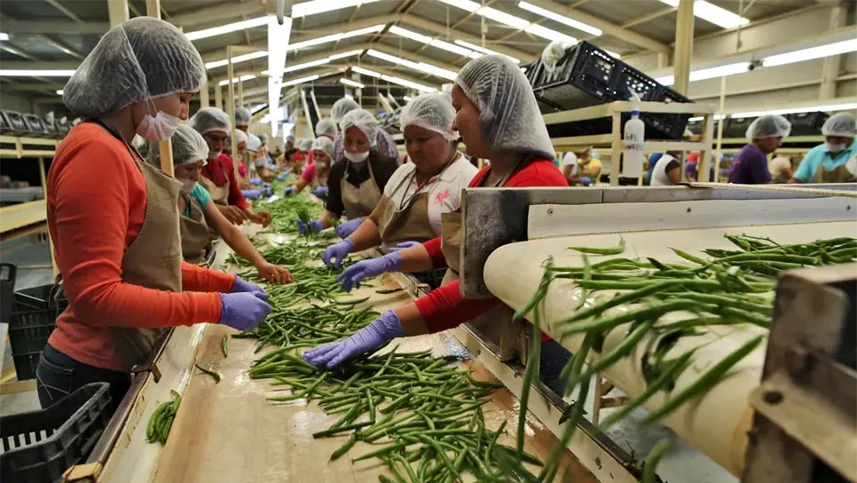 México recupera los empleos perdidos en Pandemia