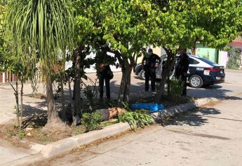 Localizan muerto a hombre en la banqueta de una casa en la Tabachines 1