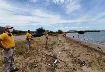 Garantiza Protección Civil que El Maviri no se cierra