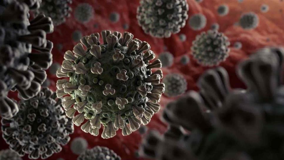 Alerta la OMS que quizá nunca haya solución ante el coronavirus