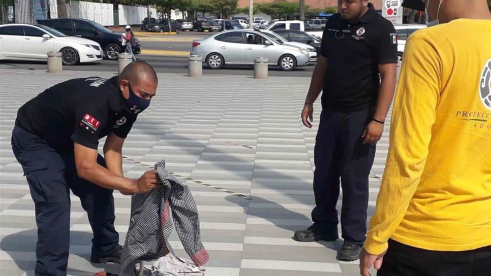 PC asegura una víbora a un lado del teatro Ingenio en Los Mochis