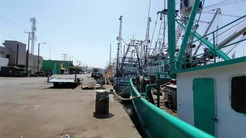 Reporta Conapesca pescadores detenidos por presunta corrupción en el Bienpesca