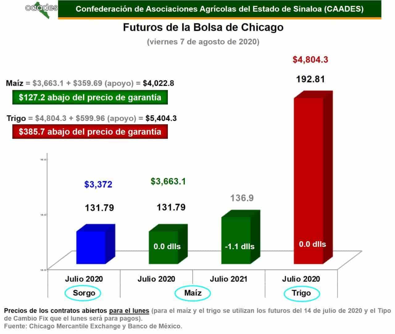 Imagen Placeholder