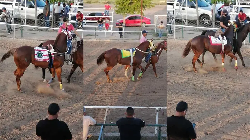 Sin medidas y con aglomeraciones, organizan carreras de caballos en Guasave