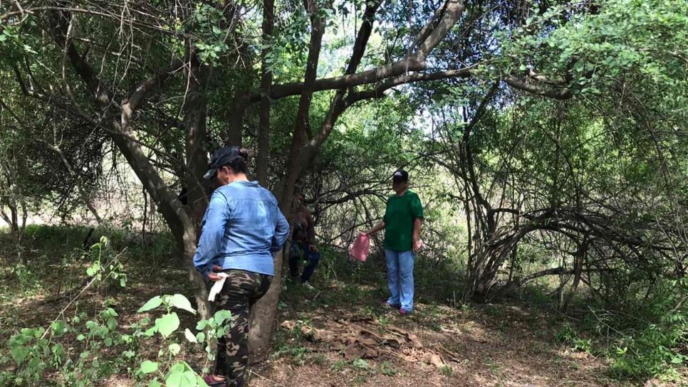 Rastreadoras de El Fuerte encuentran restos en San Blas