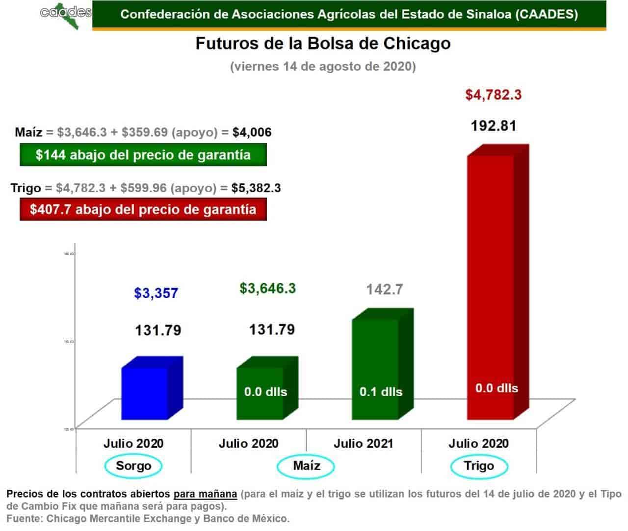 Imagen Placeholder