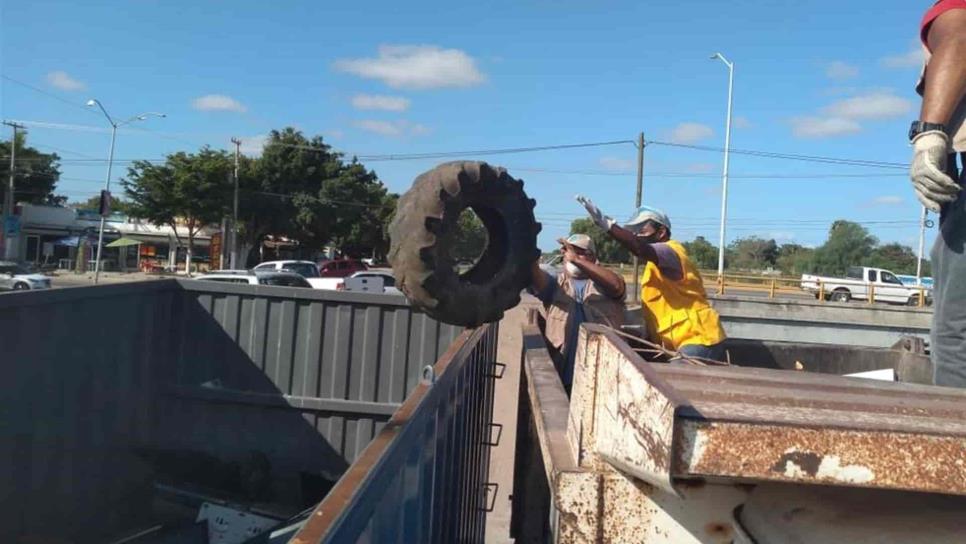 Arranca este viernes campaña de descacharrización en Mazatlán