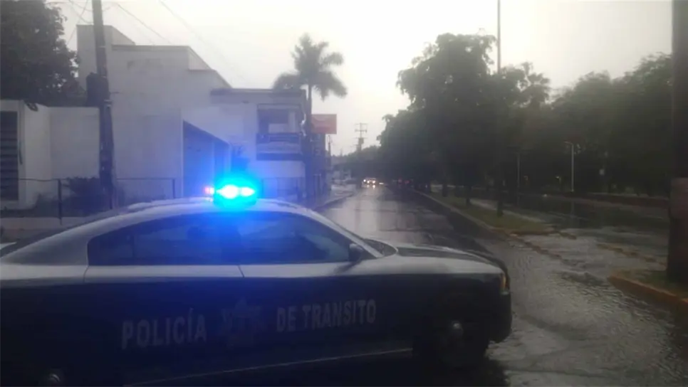 FOTO: Temática.