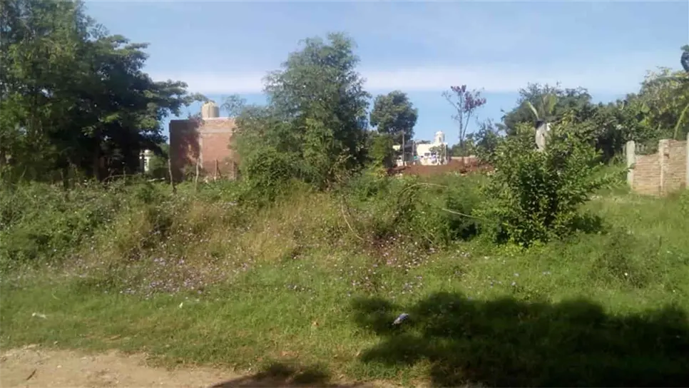 FOTO: Temática.