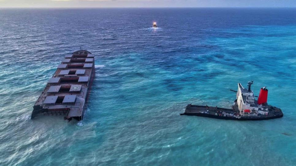 Hallan 13 delfines muertos en playas de Mauricio tras el derrame de petróleo