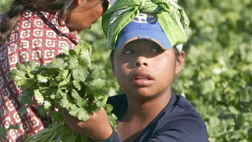 FOTO: Temática.