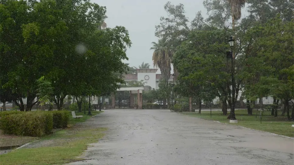 Sin graves afectaciones por lluvias en el Parque Sinaloa