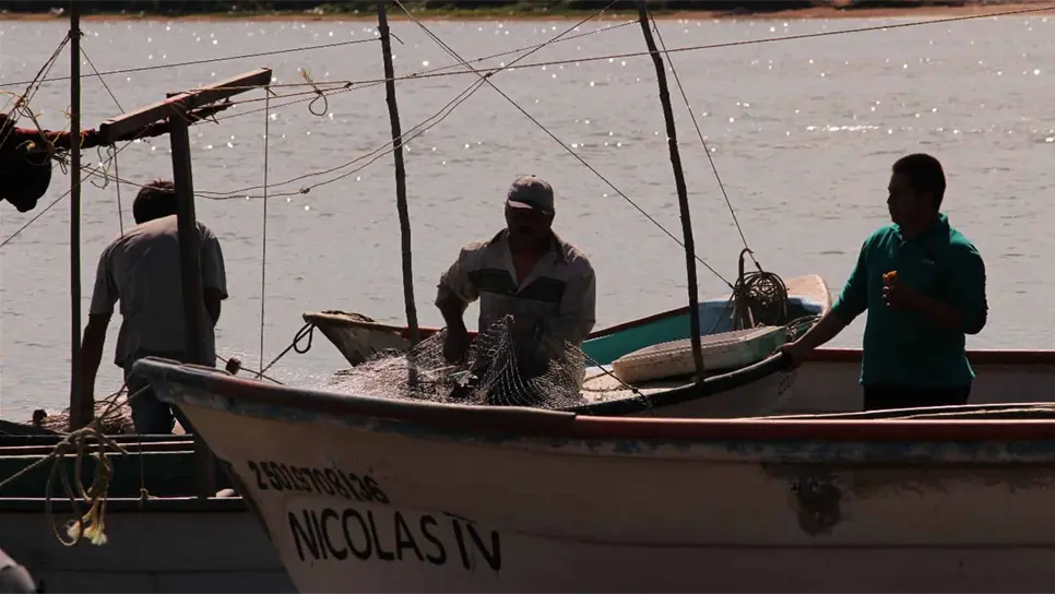 Valoran pescadores de Escuinapa autoveda del camarón