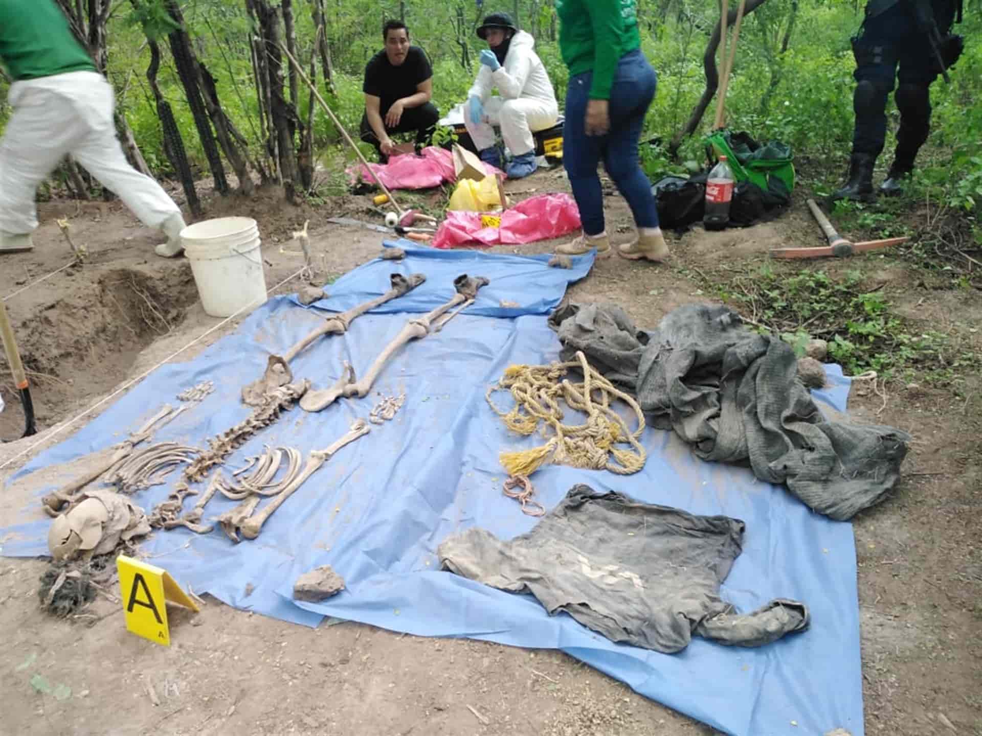 Van 20 fosas clandestinas localizadas durante este año en Sinaloa