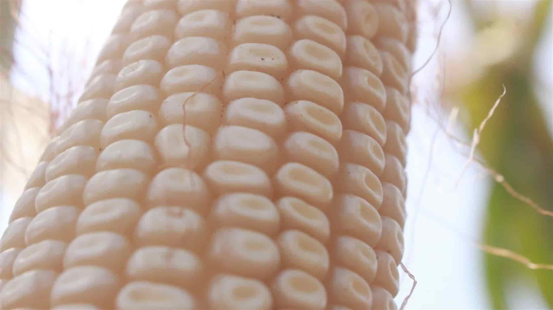 FOTO: Luz Noticias | Archivo.