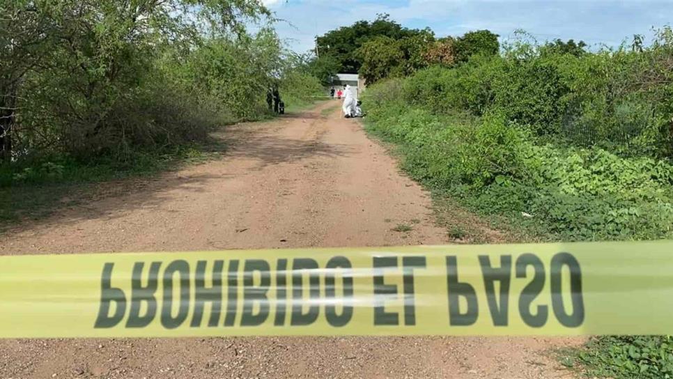 “Se debe encontrar a los culpables”: Cepavif sobre menores calcinadas en Culiacán