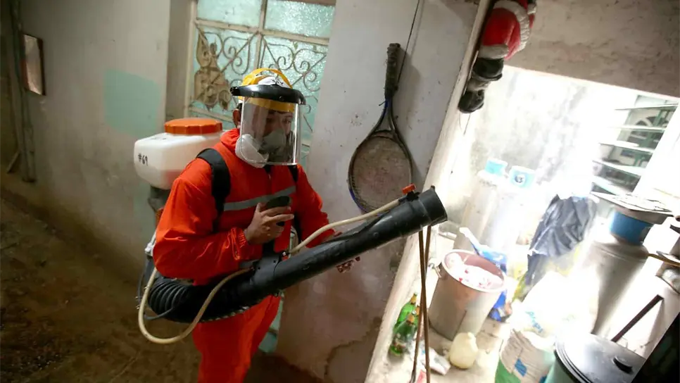 Sinaloa registra 83 casos de dengue; 57 no son graves