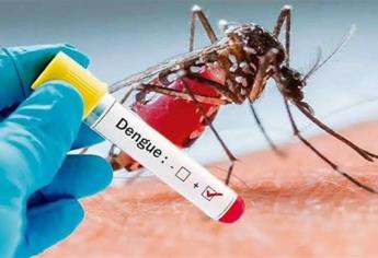 Incremento alarmante de dengue en Ahome y El Fuerte; ya son 396 casos activos