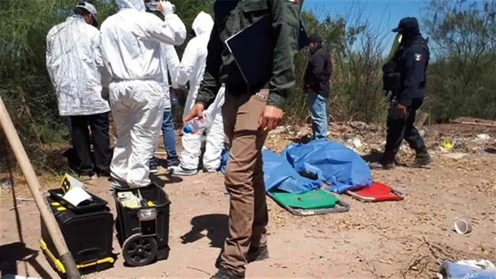 Localizan restos humanos cerca de Casa Blanca, Guasave