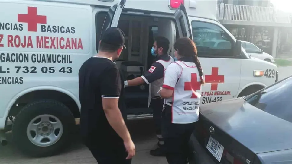 Enjambre de abejas ataca durante reunión en una colonia de Guamúchil