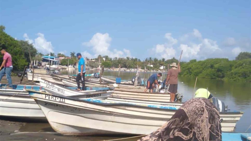 Piden pescadores de Guasave que veda de camarón se levante el próximo 14 de septiembre