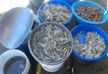 Reportan changueras ventas de mariscos en un 50 %