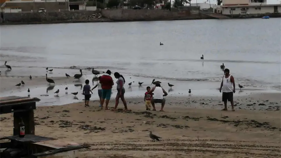 Arriba turismo a Mazatlán pese a cierre de temporada vacacional