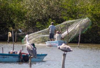 Cooperativas pesqueras solicitan dragado en sistemas lagunarios del sur de Sinaloa