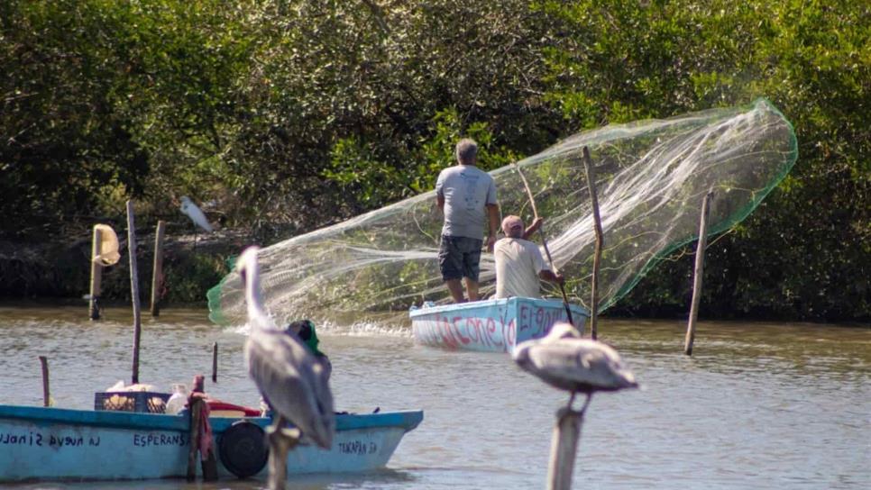 Cooperativas pesqueras solicitan dragado en sistemas lagunarios del sur de Sinaloa