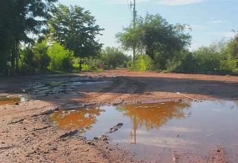 Entre lagunas viven los vecinos de Vinaterías, piden rehabilitar las calles