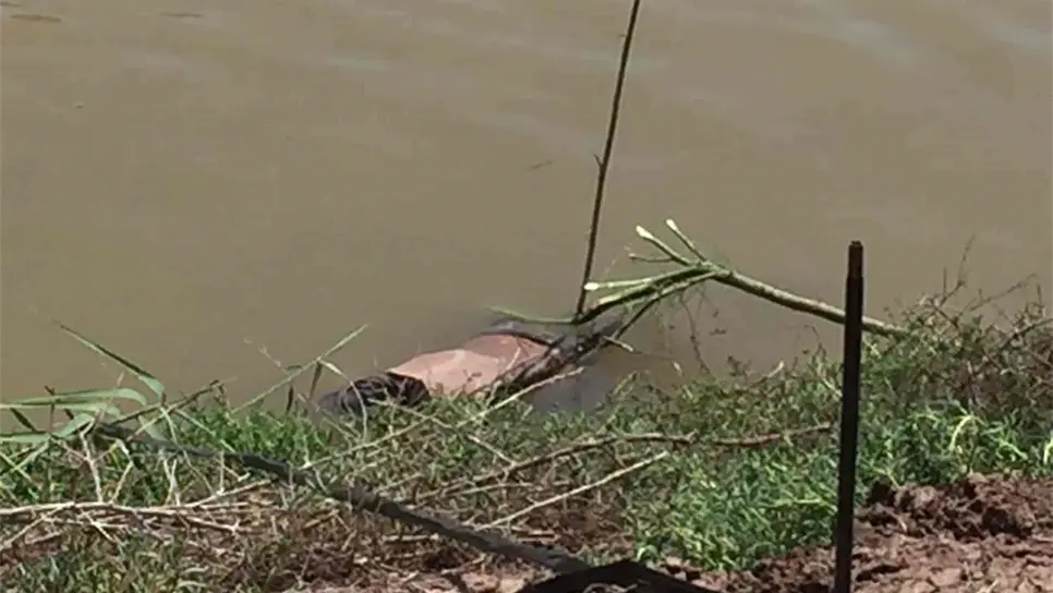 Encuentran a hombre muerto en dren de Guasave